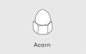 تصویر مهره Acorn